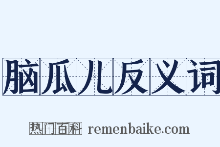 脑瓜儿反义词是什么意思的图片